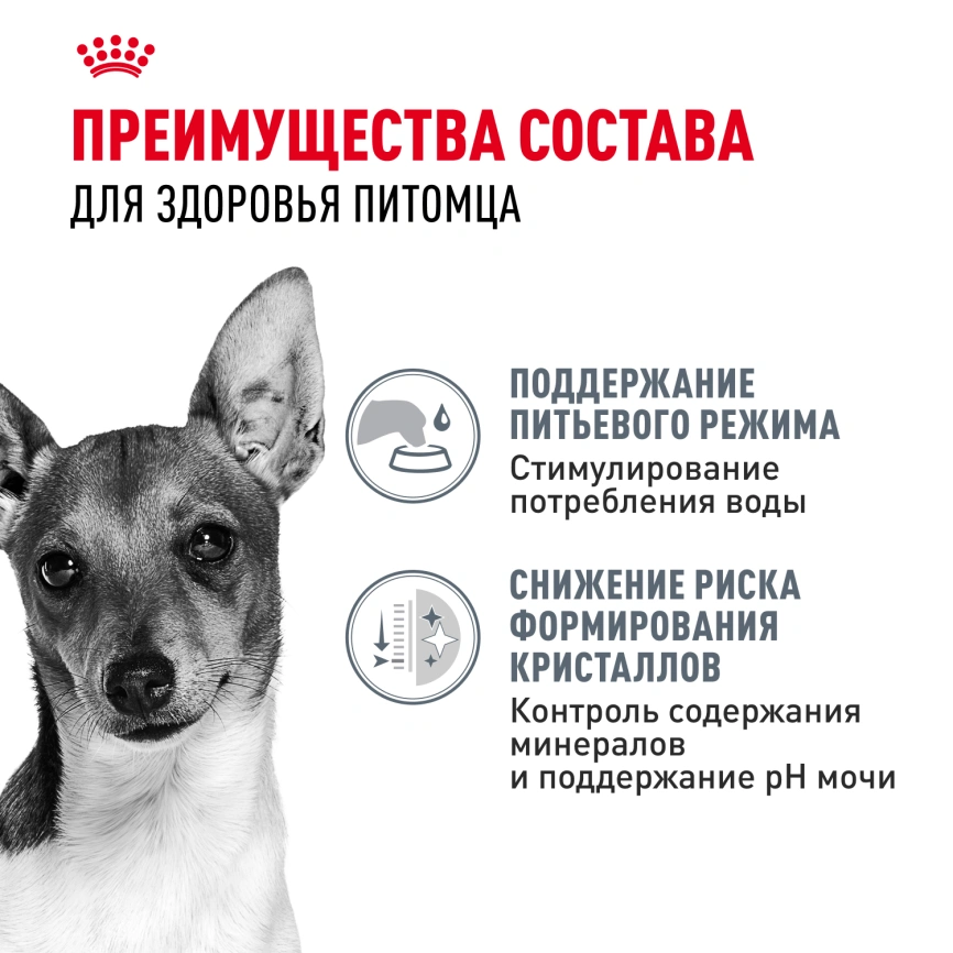 Сухой корм Royal Canin Mini Urinary Care для собак, 1 кг фото 3
