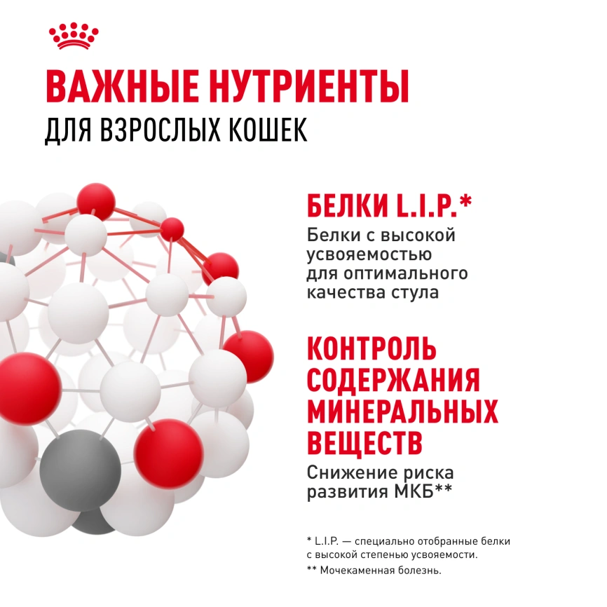 Влажный корм Royal Canin Indoor паштет для кошек, живущих в помещении, пауч, 85 г фото 5