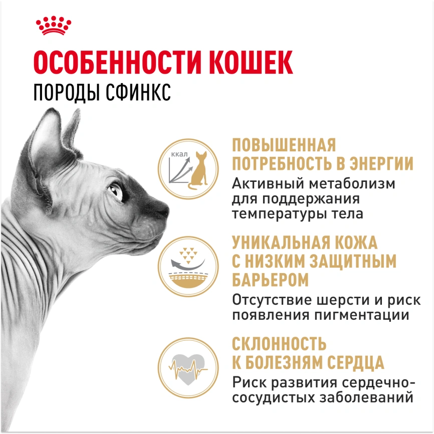 Сухой корм Royal Canin Sphynx для кошек породы сфинкс, 400 г фото 2