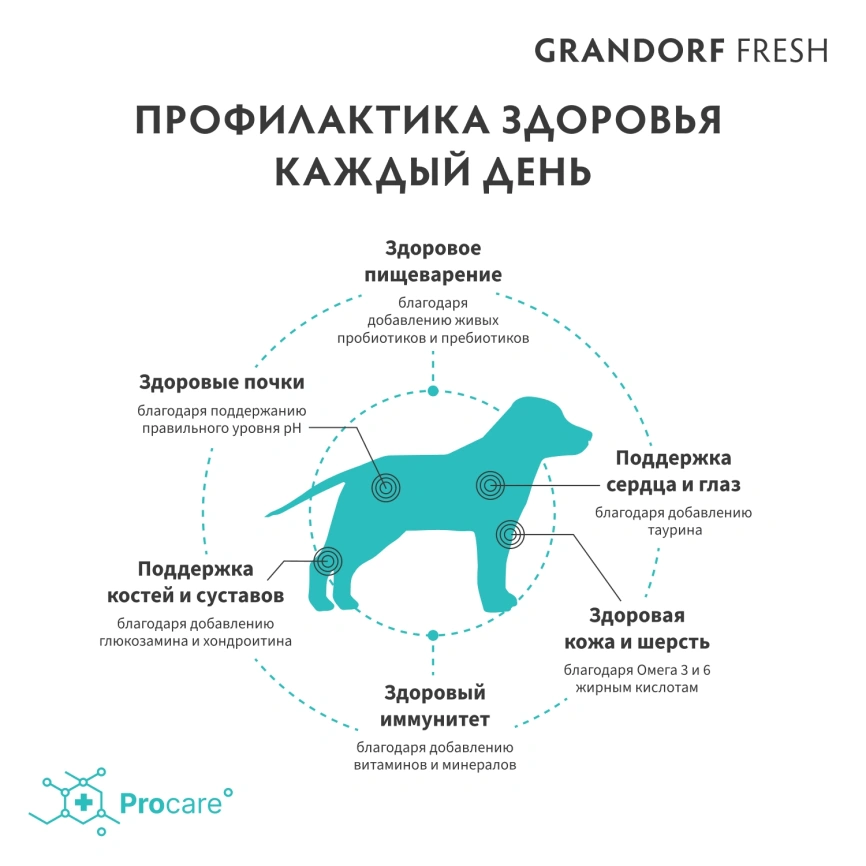Сухой корм Grandorf Fresh Dog Lamb & Sweet Potato для взрослых собак средних и крупных пород чувствительное пищеварение и гипоаллергенный ягненок, с бататом, 1 кг фото 3