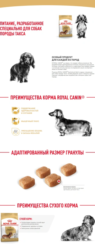 Сухой корм Royal Canin Dachshund Adult для собак породы такса, 1,5 кг фото 14