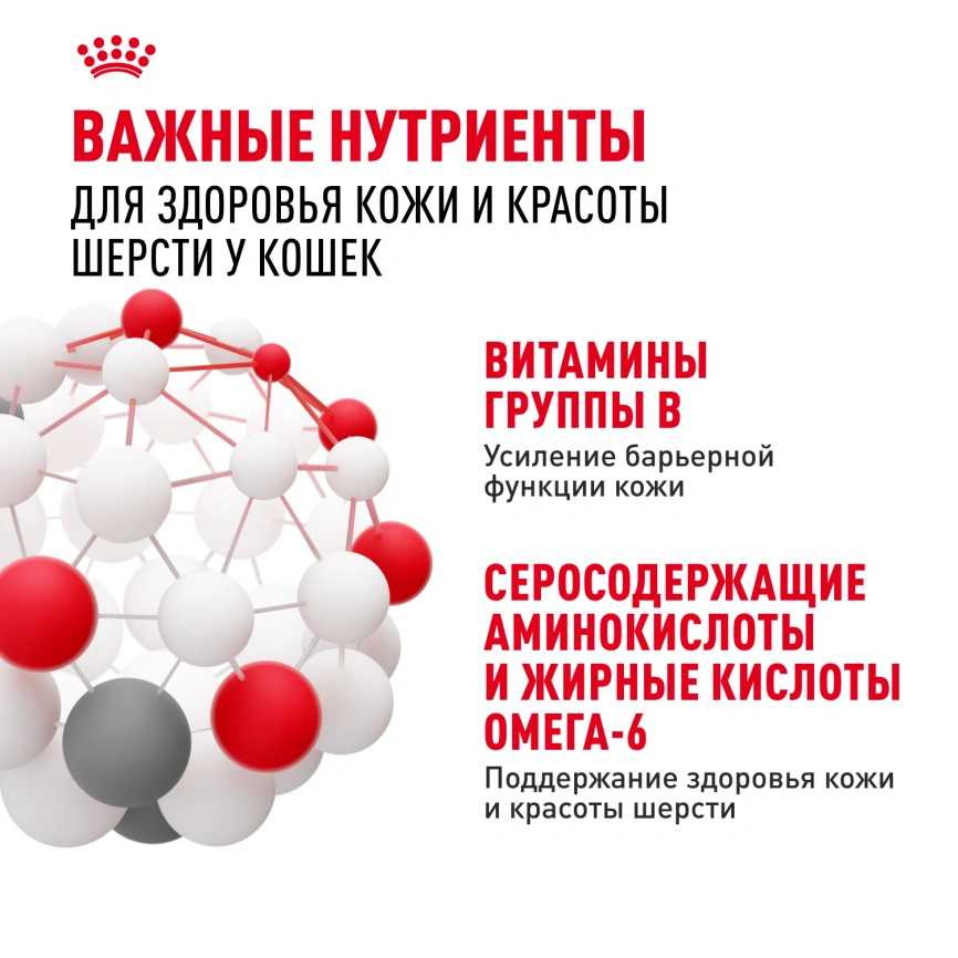 Влажный корм Royal Canin Hair & Skin Care в желе для взрослых кошек старше 1 года, пауч, 85 г фото 6