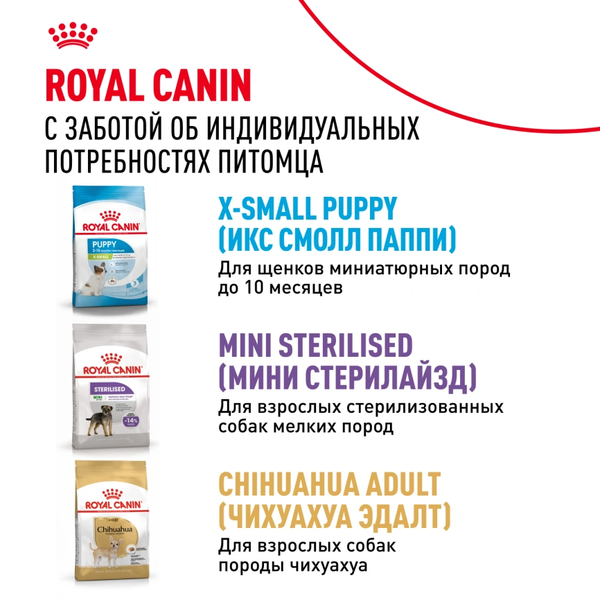 Сухой корм Royal Canin X-Small Adult для собак, 1,5 кг фото 10