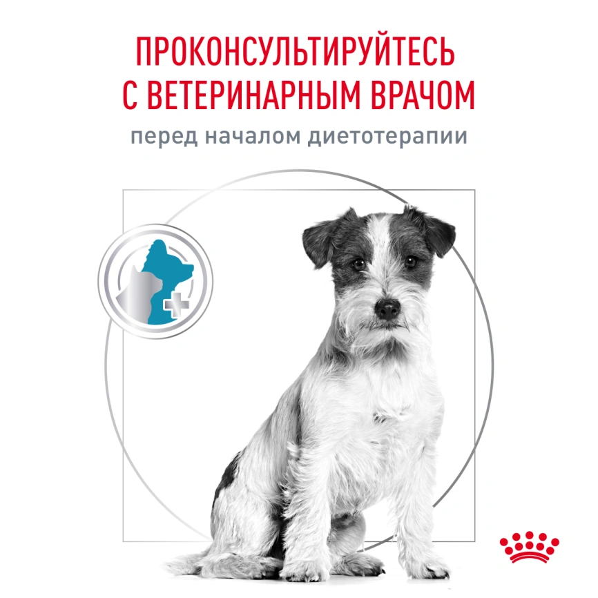 Сухой корм Royal Canin Hypoallergenic Small Dogs для собак, 3,5 кг фото 3