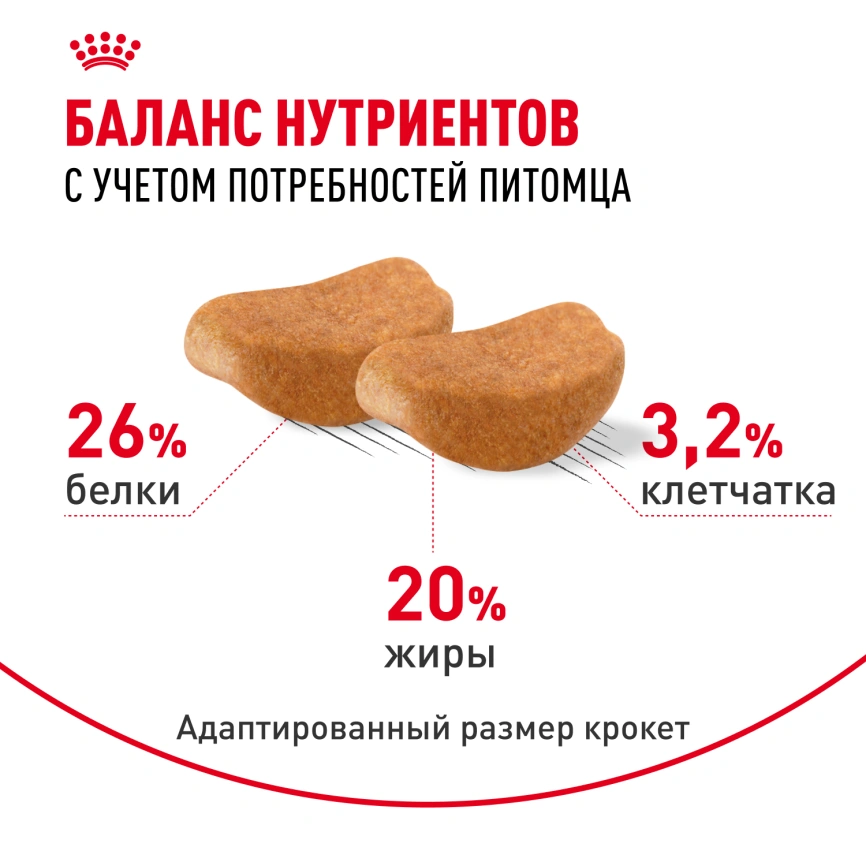 Сухой корм Royal Canin Bulldog Adult для собак породы английский бульдог, 12 кг фото 4