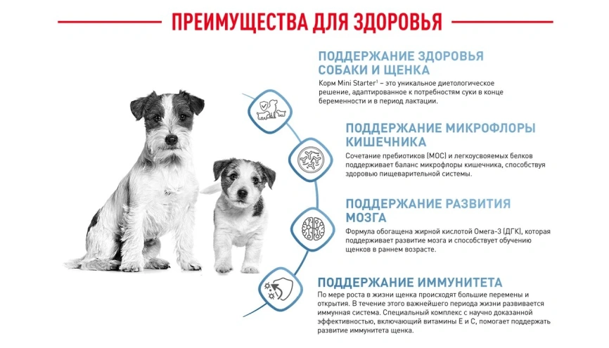 Сухой корм Royal Canin Mini Starter Mother & Babydog для щенков и кормящих сук, 3 кг фото 17