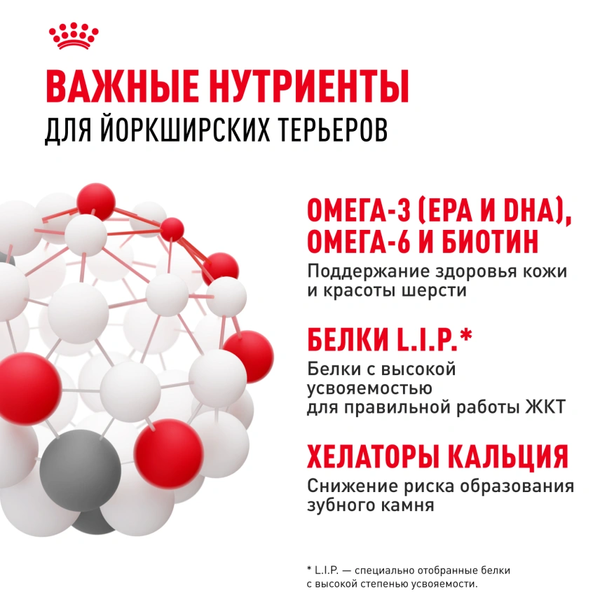 Сухой корм Royal Canin Yorkshire Terrier Adult для взрослых собак, 500 г фото 5