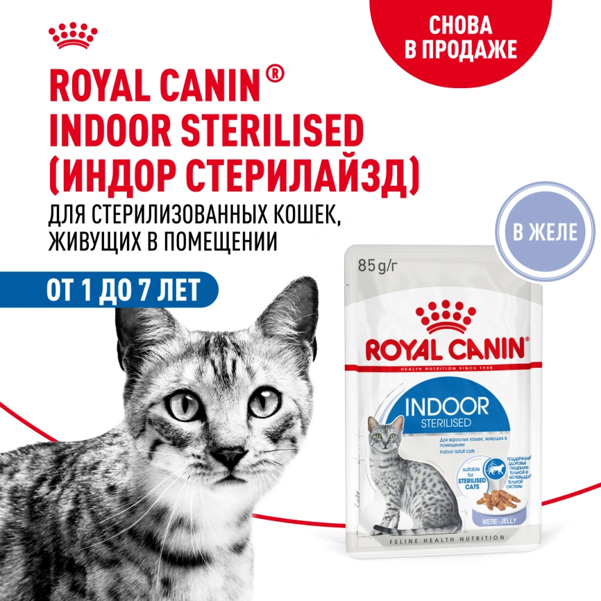Влажный корм Royal Canin Indoor паштет для кошек, живущих в помещении, пауч, 85 г фото 16
