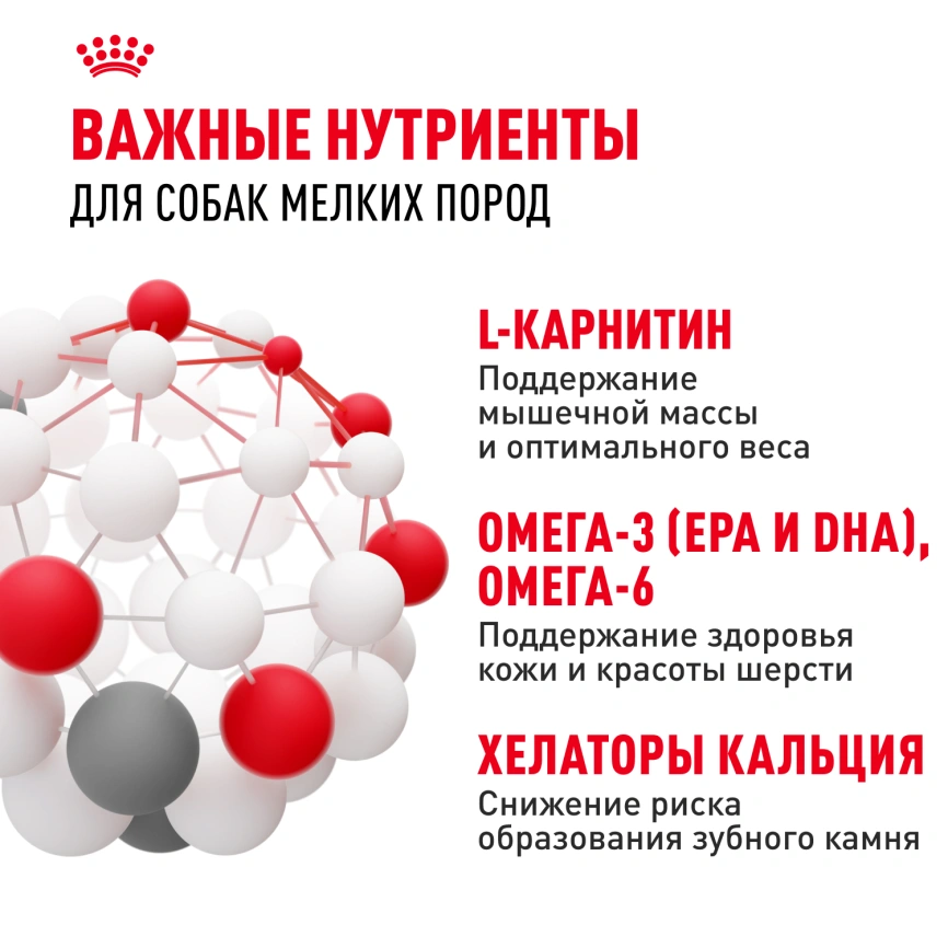 Сухой корм Royal Canin Mini Adult для взрослых собак, 4 кг фото 5