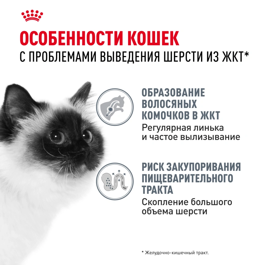 Сухой корм Royal Canin Hairball Care для взрослых кошек, для выведения волосяных комочков, 400 г фото 11