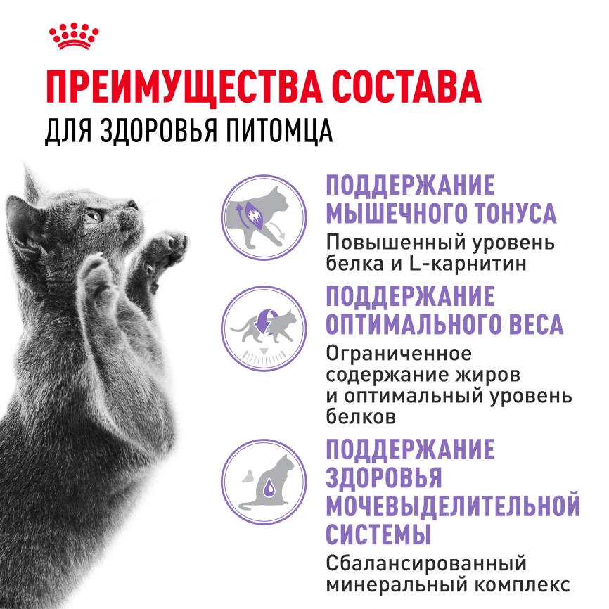 Сухой корм Royal Canin Sterilised для кастрированных котов и стерилизованных кошек, 10 кг фото 2