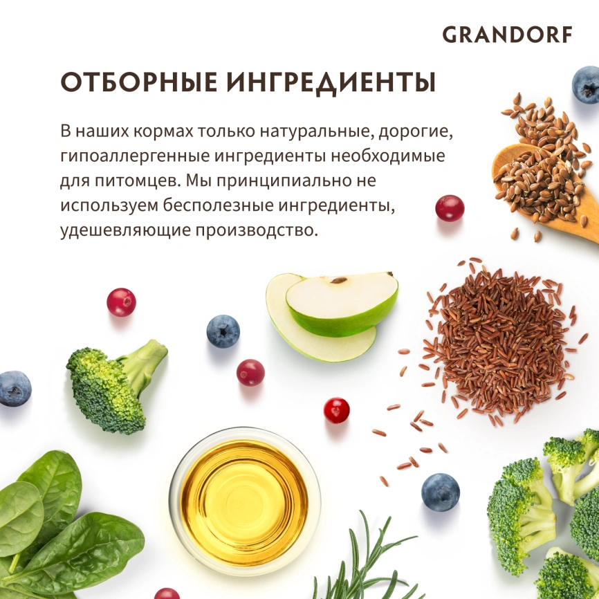 Сухой корм Grandorf Kitten Lamb & Turkey для котят, с ягнёнком и индейкой, 2 кг фото 8