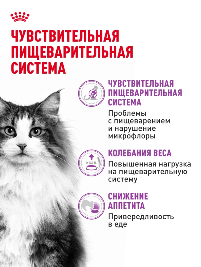 Сухой корм Royal Canin Sensible для кошек, 1,2 кг фото 18