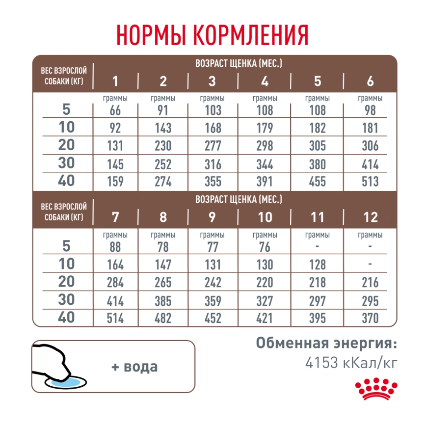Сухой корм Royal Canin French Bulldog Puppy для щенков, 3 кг фото 7