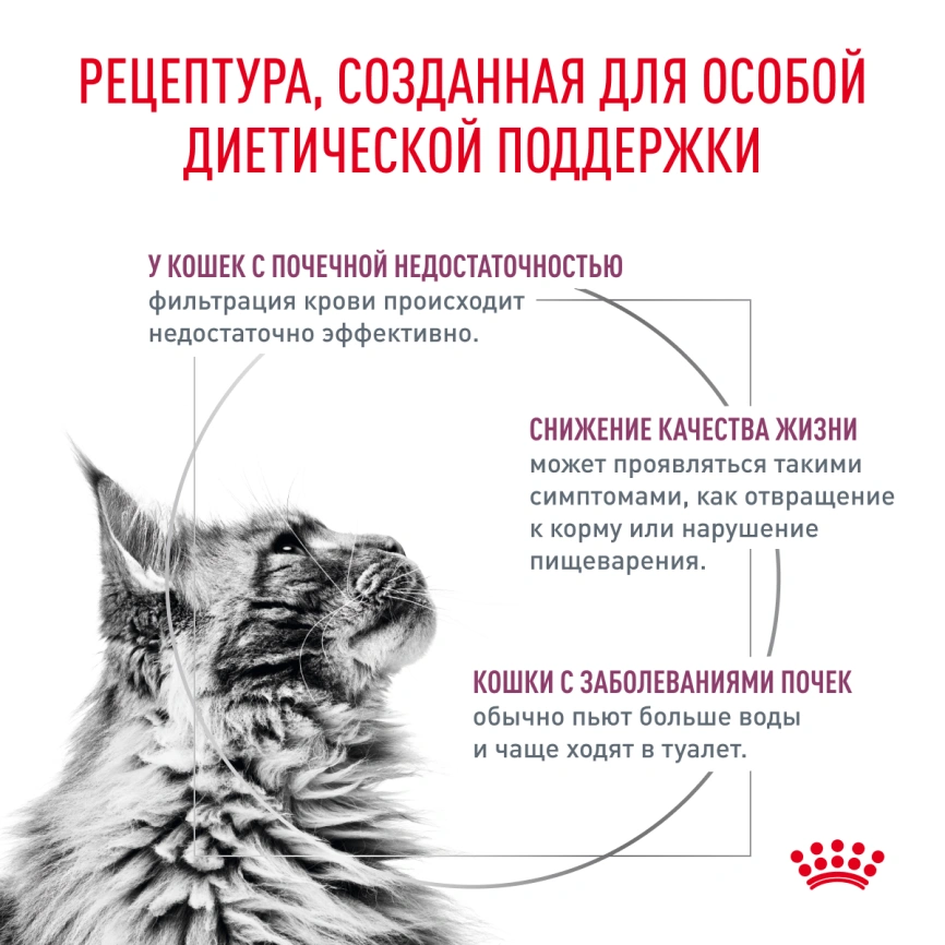 Влажный корм Royal Canin Renal Chicken для кошек при заболеваниях почек, в соусе, с курицей, пауч, 85 г фото 2