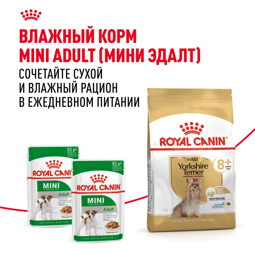 Сухой корм Royal Canin Yorkshire Terrier Adult 8+ для собак породы йоркширский терьер, 1,5 кг фото 9