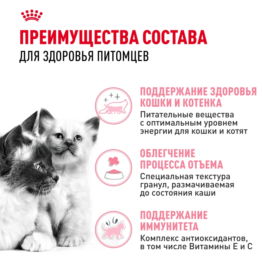 Сухой корм Royal Canin Mother & Babycat для котят, беременных и лактирующих кошек, 4 кг фото 3
