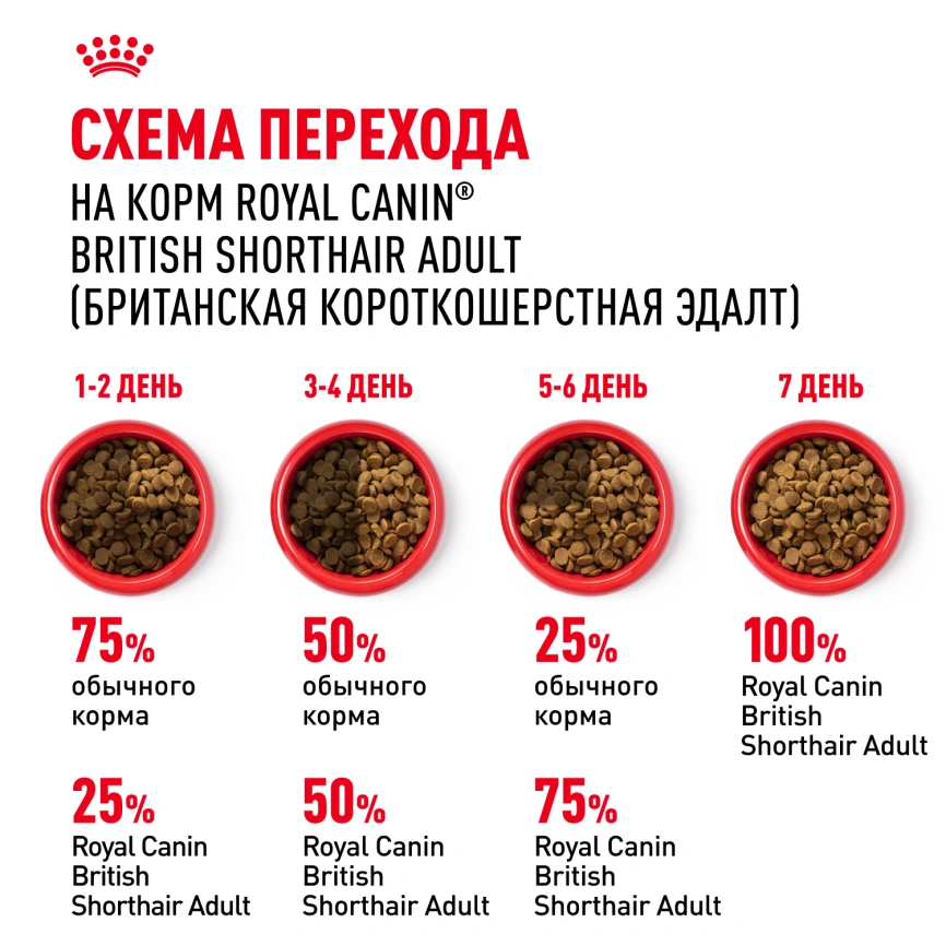Сухой корм Royal Canin British Shorthair для кошек породы британская короткошерстная, 10 кг фото 7