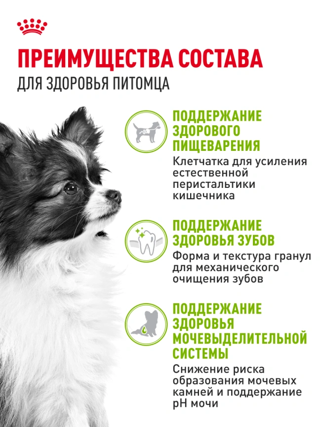Сухой корм Royal Canin X-Small Adult для собак, 3 кг фото 15