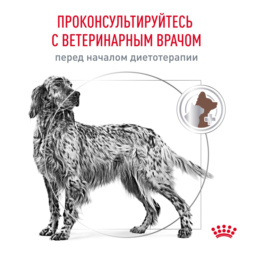Сухой корм Royal Canin Hepatiс для собак, 6 кг фото 7