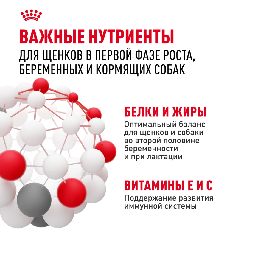 Сухой корм Royal Canin Mini Starter Mother & Babydog для щенков и кормящих сук, 3 кг фото 5