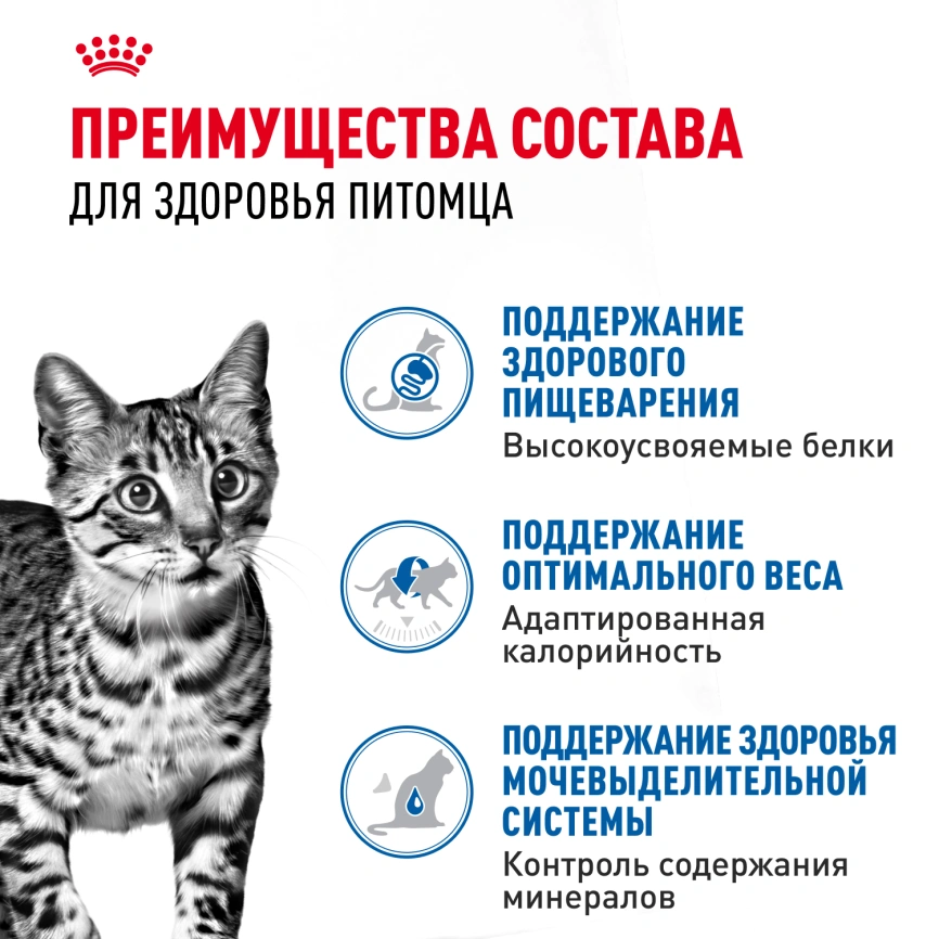 Влажный корм Royal Canin Indoor паштет для кошек, живущих в помещении, пауч, 85 г фото 3