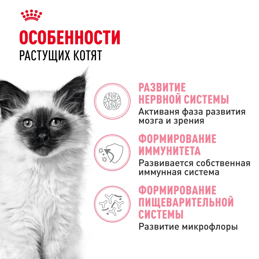 Сухой корм Royal Canin Kitten для котят, 1,2 кг фото 2