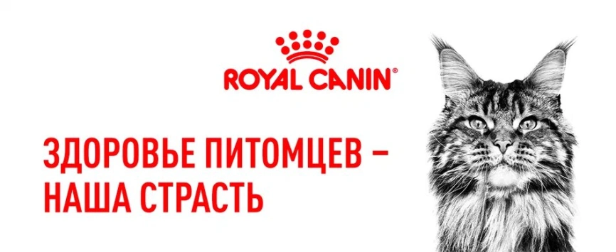 Сухой корм Royal Canin Sterilised для кастрированных котов и стерилизованных кошек, 10 кг фото 14