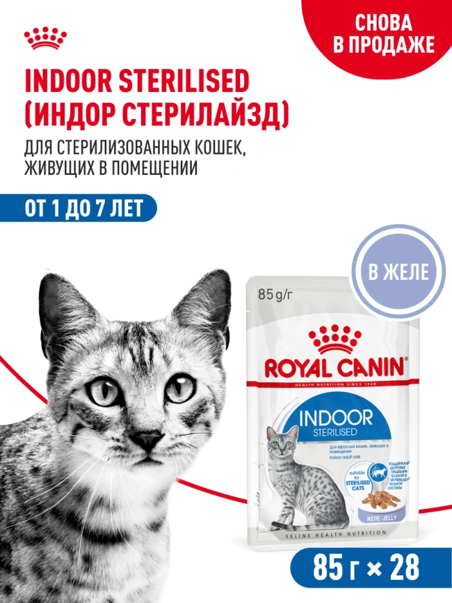 Влажный корм Royal Canin Indoor паштет для кошек, живущих в помещении, пауч, 85 г фото 17