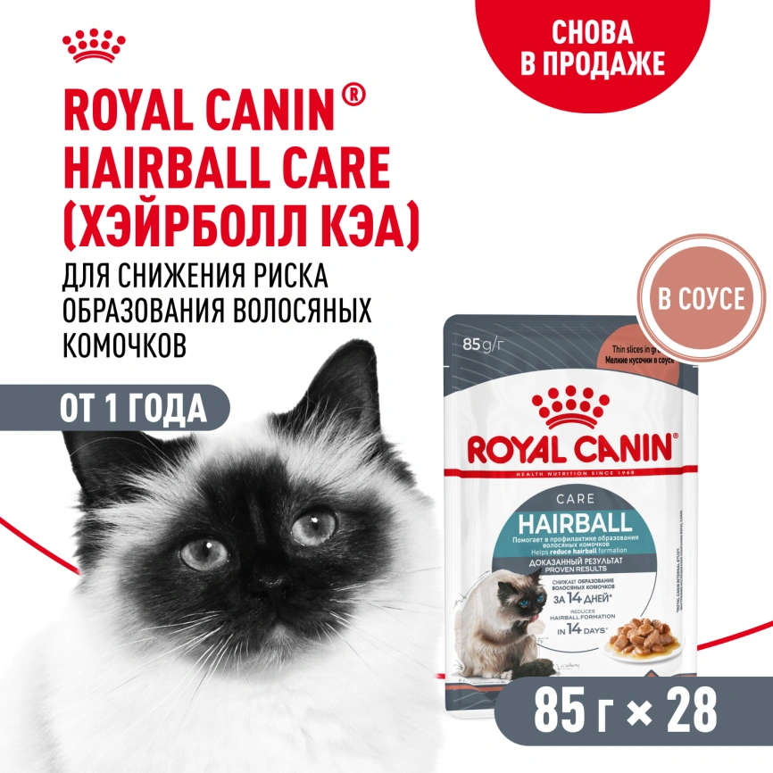 Сухой корм Royal Canin Hairball Care для взрослых кошек, для выведения волосяных комочков, 400 г фото 12