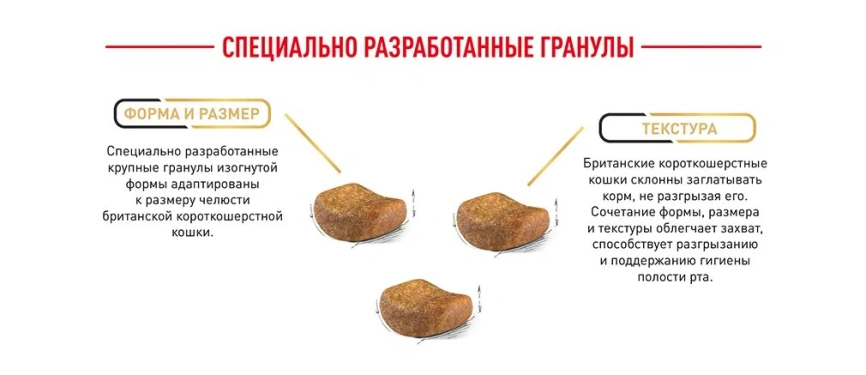 Сухой корм Royal Canin British Shorthair для кошек породы британская короткошерстная, 10 кг фото 16