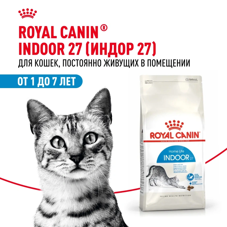 Сухой корм Royal Canin Indoor Long Hair для кошек, 400 г фото 1