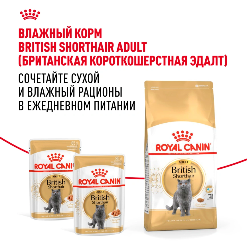 Сухой корм Royal Canin British Shorthair для кошек породы британская короткошерстная, 10 кг фото 9