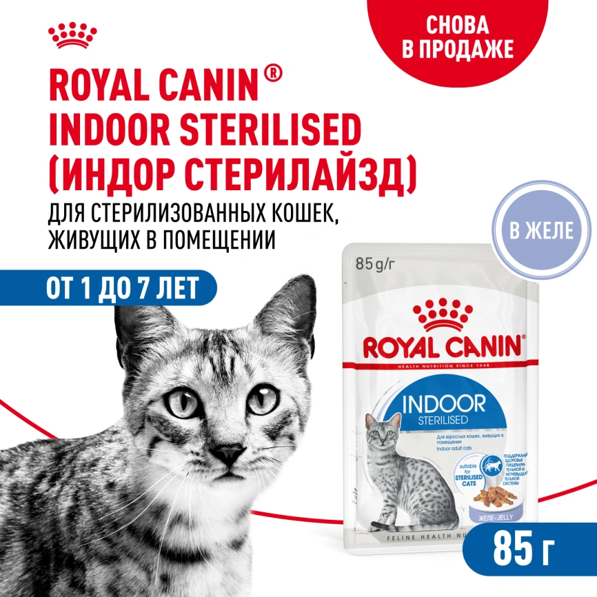 Влажный корм Royal Canin Indoor паштет для кошек, живущих в помещении, пауч, 85 г фото 1