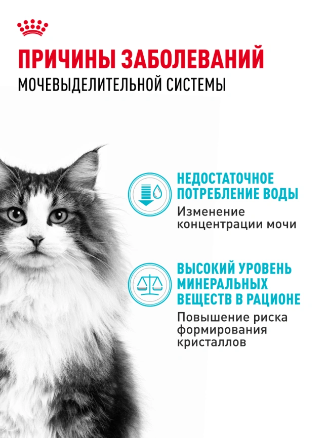 Сухой корм Royal Canin Urinary Care для поддержания здоровья мочевыделительной системы кошек, 4 кг фото 28