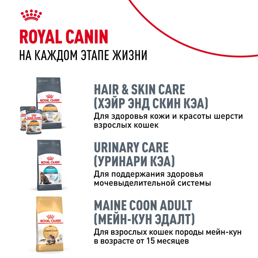 Сухой корм Royal Canin Kitten Maine Coon для котят, 400 г фото 10