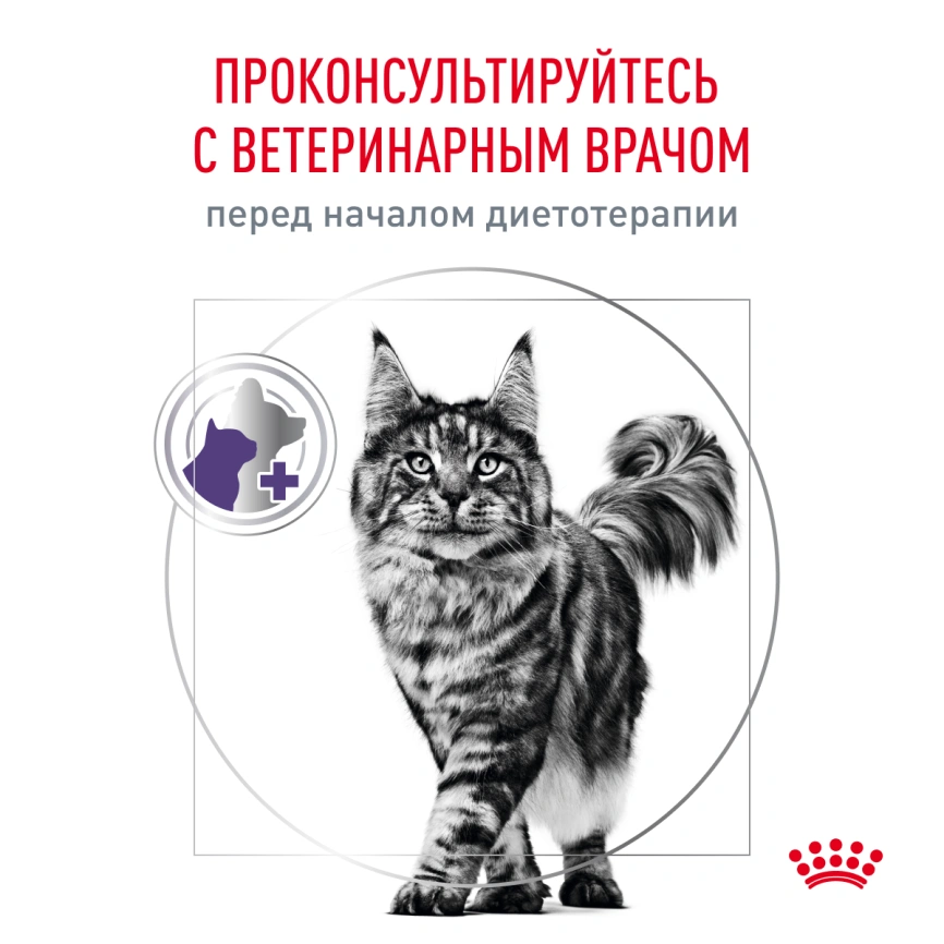 Сухой корм Royal Canin Neutered Satiety Balance для кастрированных котов и стерилизованных кошек до 7 лет, 1,5 кг фото 5