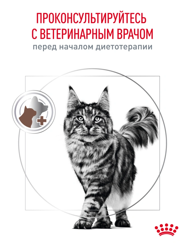 Сухой корм Royal Canin Hypoallergeniс для кошек, 350 г фото 19