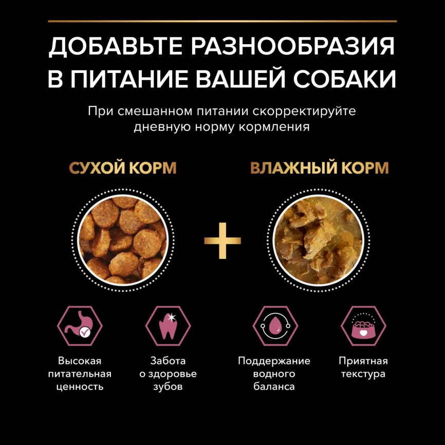 Сухой корм PRO PLAN Salmon для взрослых собак мелких и карликовых пород с чувствительной кожей, с высоким содержанием лосося, 7 кг фото 4