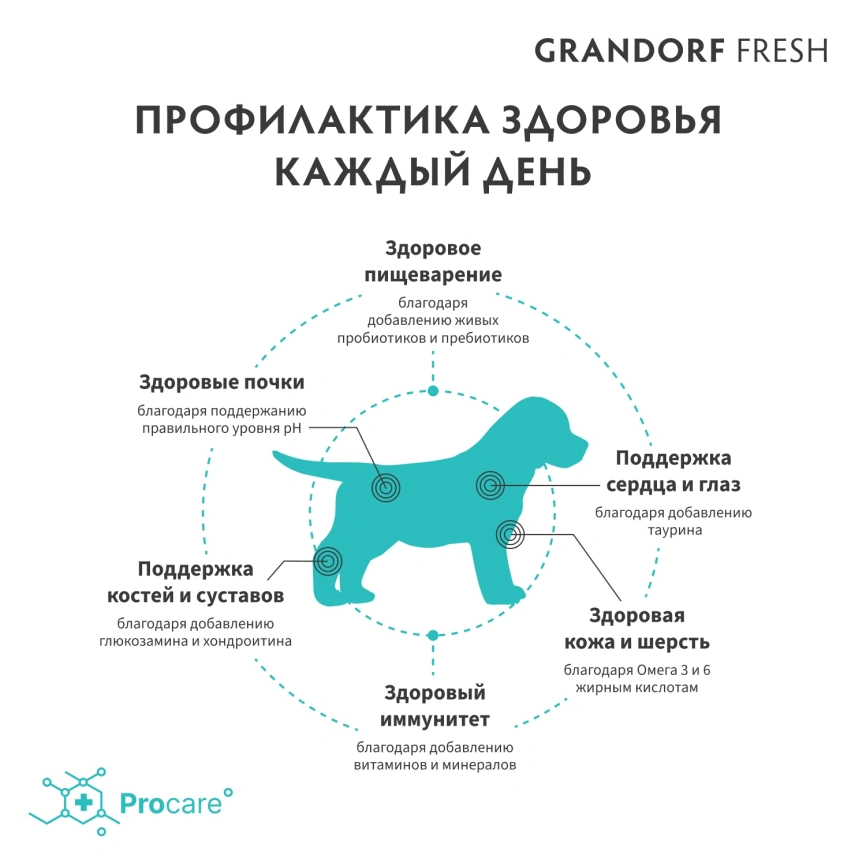 Сухой корм Grandorf Fresh Dog Lamb & Sweet Potato для щенков всех пород беременных и кормящих собак беззерновой ягненок, с бататом, 3 кг фото 4
