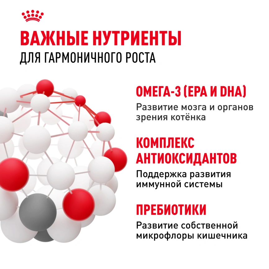 Сухой корм Royal Canin Kitten для котят, 1,2 кг фото 5