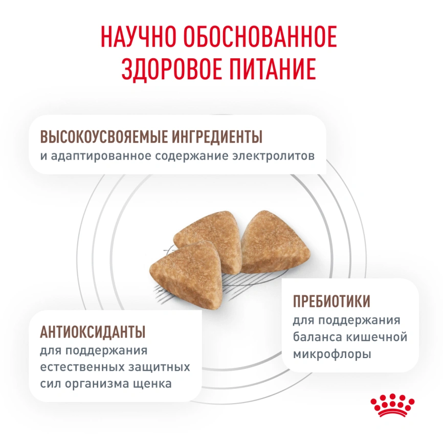 Сухой корм Royal Canin French Bulldog Puppy для щенков, 3 кг фото 4