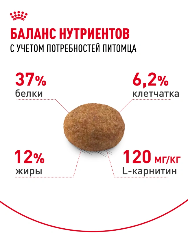 Сухой корм Royal Canin Sterilised для кастрированных котов и стерилизованных кошек, 10 кг фото 24