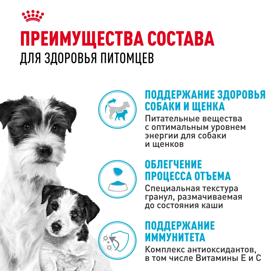 Сухой корм Royal Canin Mini Starter Mother & Babydog для щенков и кормящих сук, 1 кг фото 3