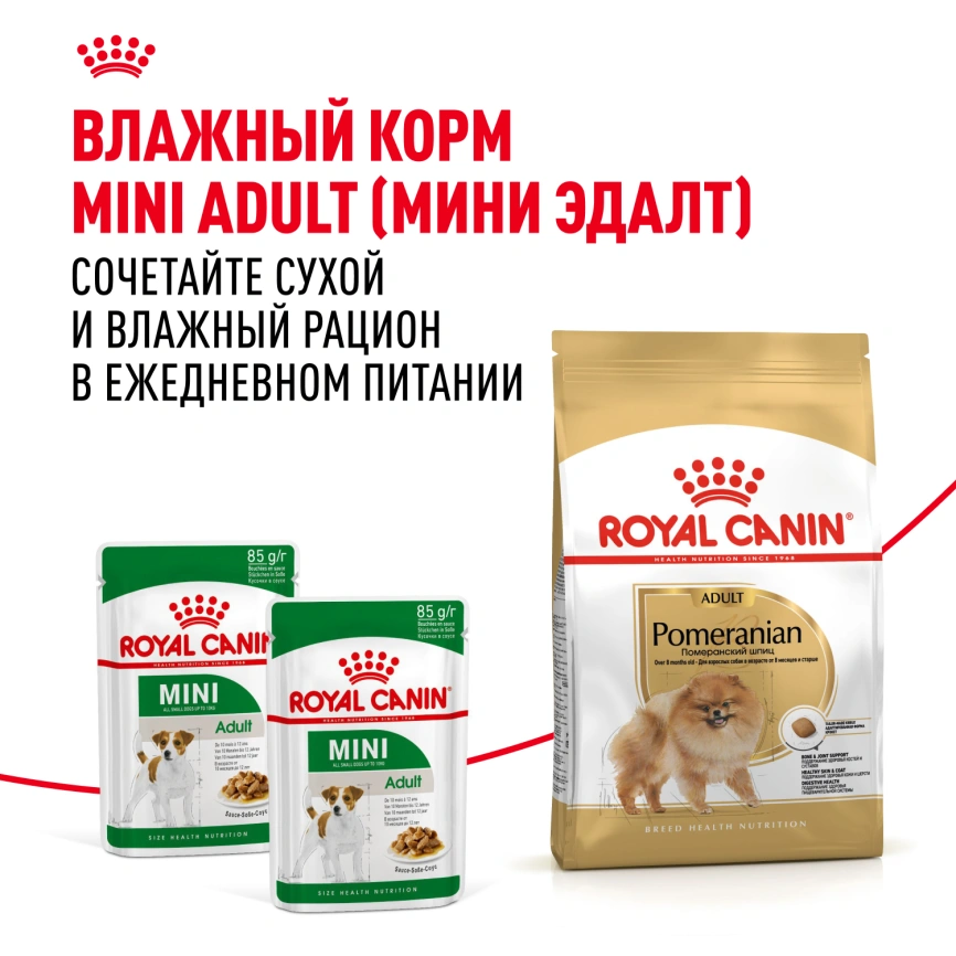 Сухой корм Royal Canin Pomeranian Adult для собак породы померанский шпиц, 1,5 кг фото 8