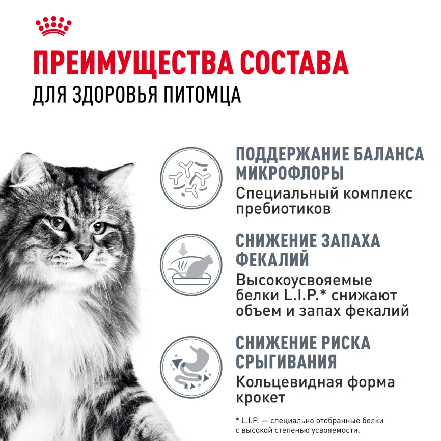 Сухой корм Royal Canin Digestive Care для кошек, 10 кг фото 3
