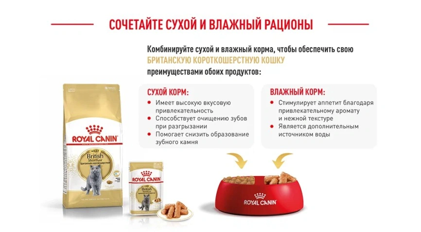 Сухой корм Royal Canin British Shorthair для кошек породы британская короткошерстная, 10 кг фото 19