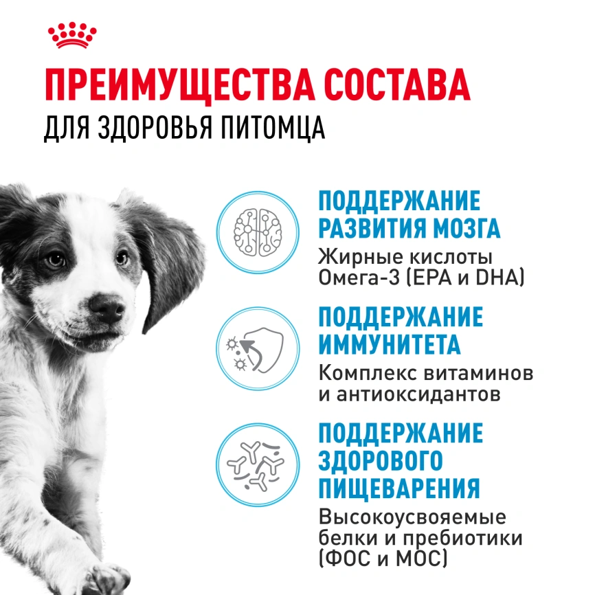 Сухой корм Royal Canin German Shepherd Puppy для щенков, 12 кг фото 3