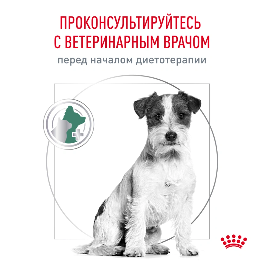 Сухой корм Royal Canin Satiety Small Dogs для собак мелких пород для снижение веса, 500 г фото 7