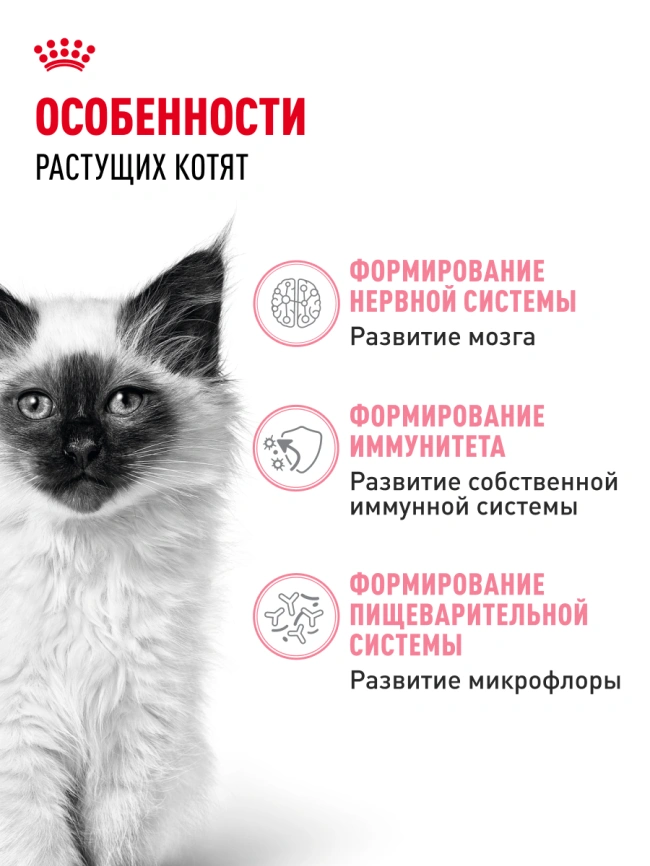 Сухой корм Royal Canin Kitten для котят, 4 кг фото 16
